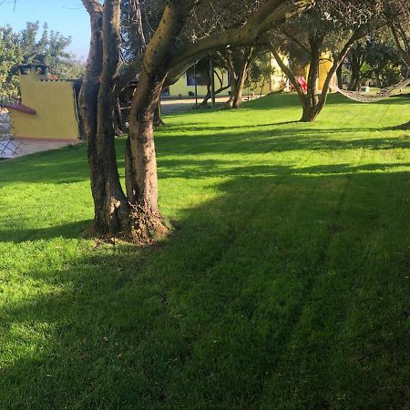 Il Ginepro Ξενοδοχείο Valledoria  Εξωτερικό φωτογραφία